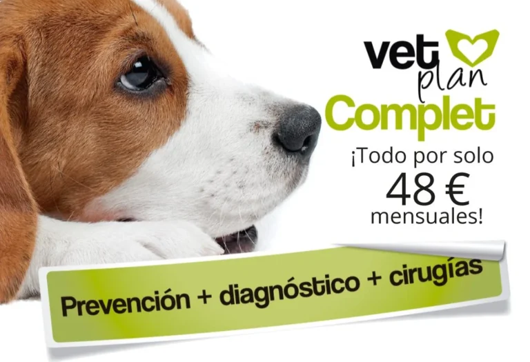 VetPlan Complet
