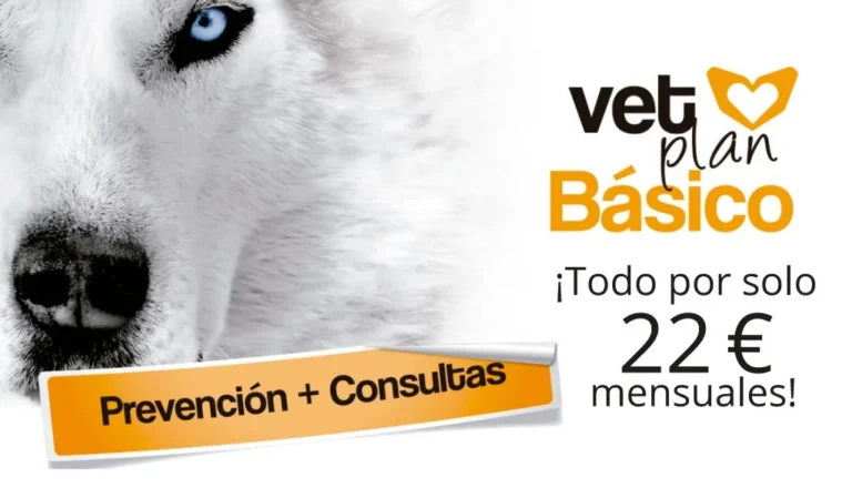 VetPlan Básico en Animal House, Marbella