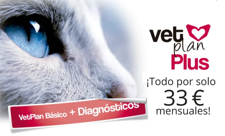 VetPlan Plus
