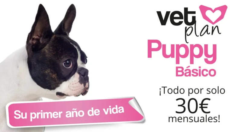VetPlan Puppy Básico